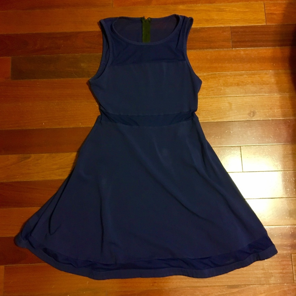 Express Blue Skater Dress