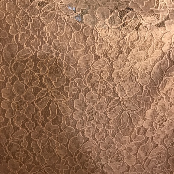 NWT Express Lace Cream Top XS - Picture 6 of 6