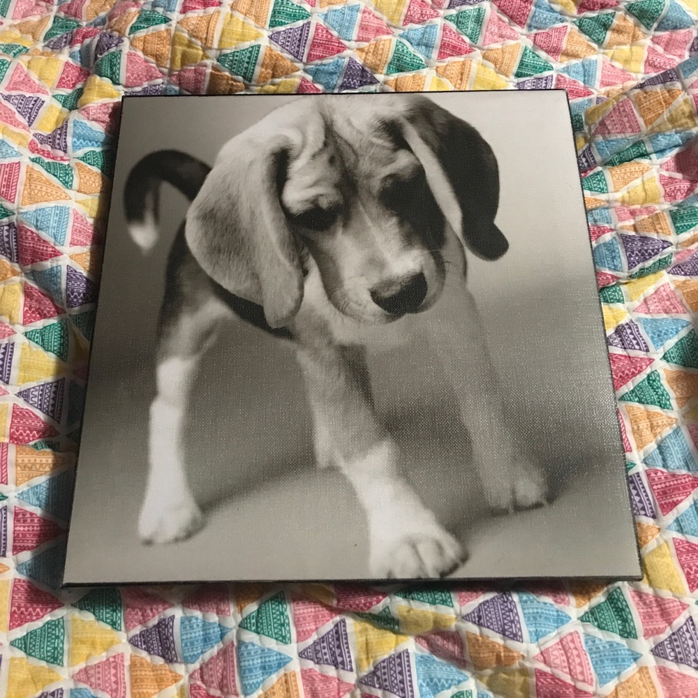 A Canvas photograph