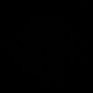 Meet your Posher, Vincent