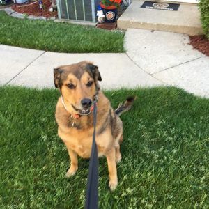 Meet your Posher, Kathryn