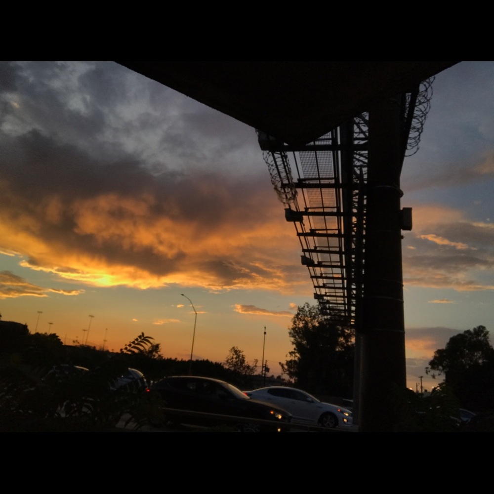 Meet your Posher, Genesis