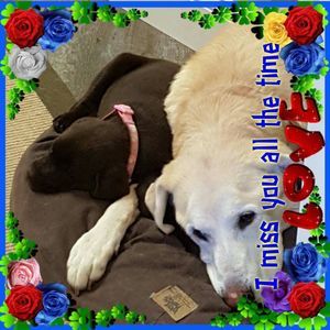 Meet your Posher, Christine