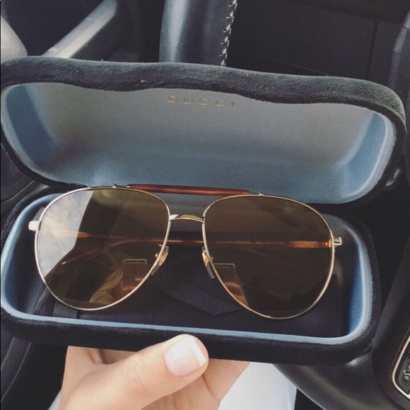 Haley - Picture 4 of 8