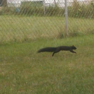 Meet your Posher, Al