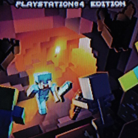 Meet your Posher, Noah - Picture 1 of 1