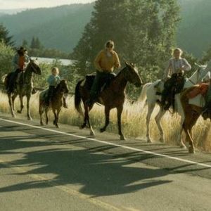 Meet your Posher, Jolene