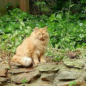 Meet your Posher, Sean