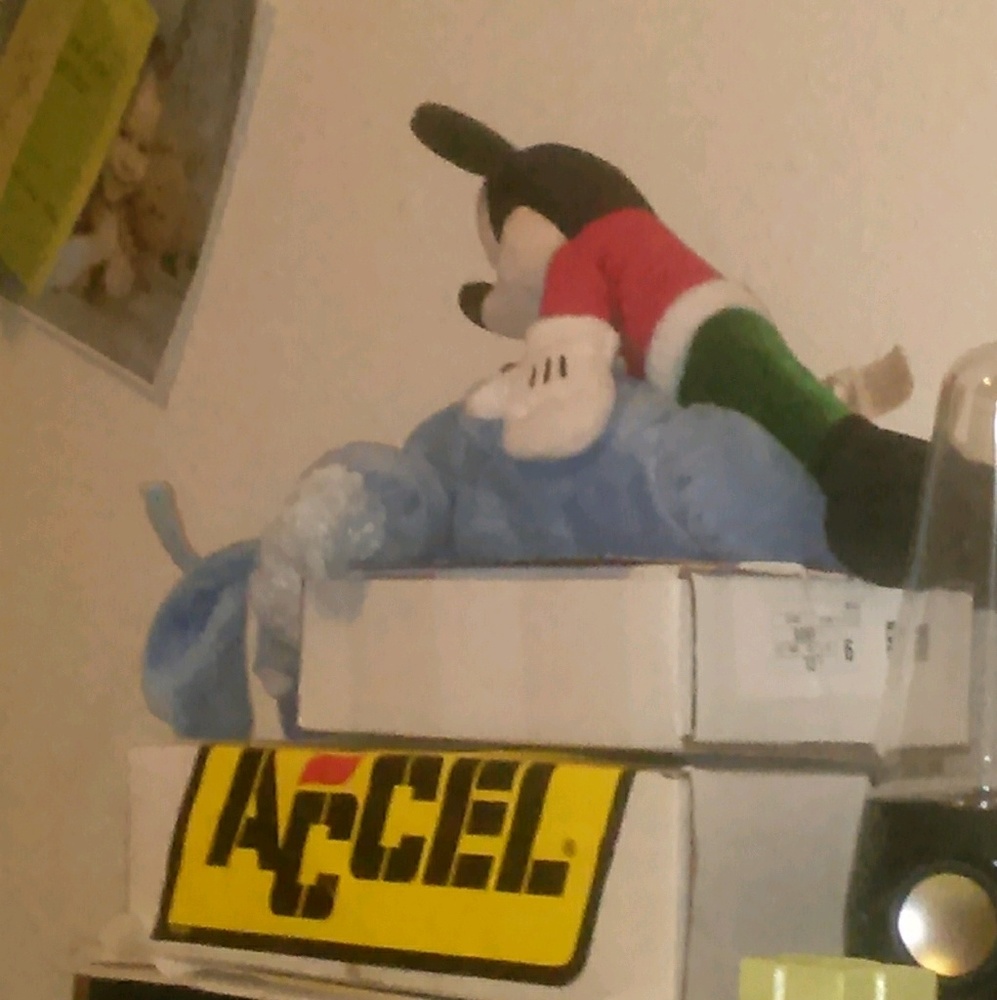 Meet your Posher, Steve