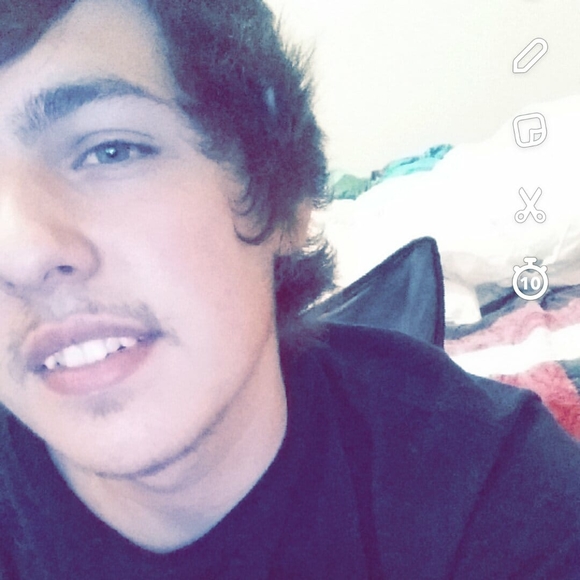 Meet your Posher, Dakota - Picture 1 of 1