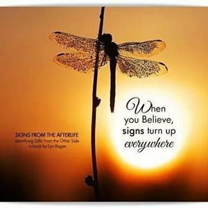 Meet your Posher, Cynthia