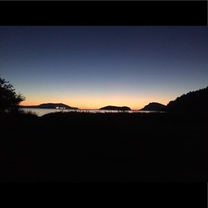 Meet your Posher, Elsa