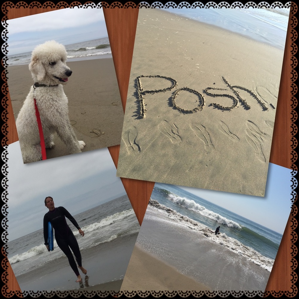 ☀️Beach Poshing🌊😎🏄