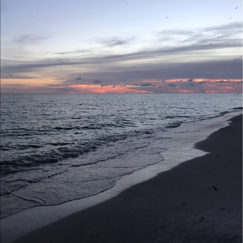 Meet your Posher, Maxine