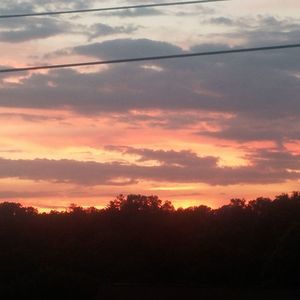 Meet your Posher, Judy