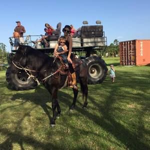 Meet your Posher, Annia