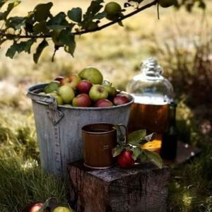 Meet your Posher, Tracey