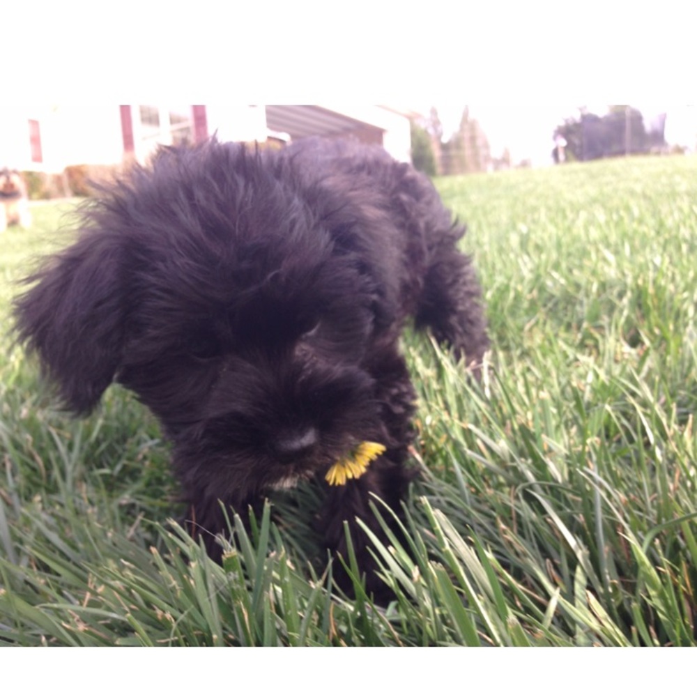 Meet your Posher, Kaylie