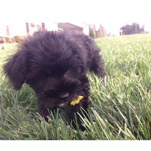 Meet your Posher, Kaylie