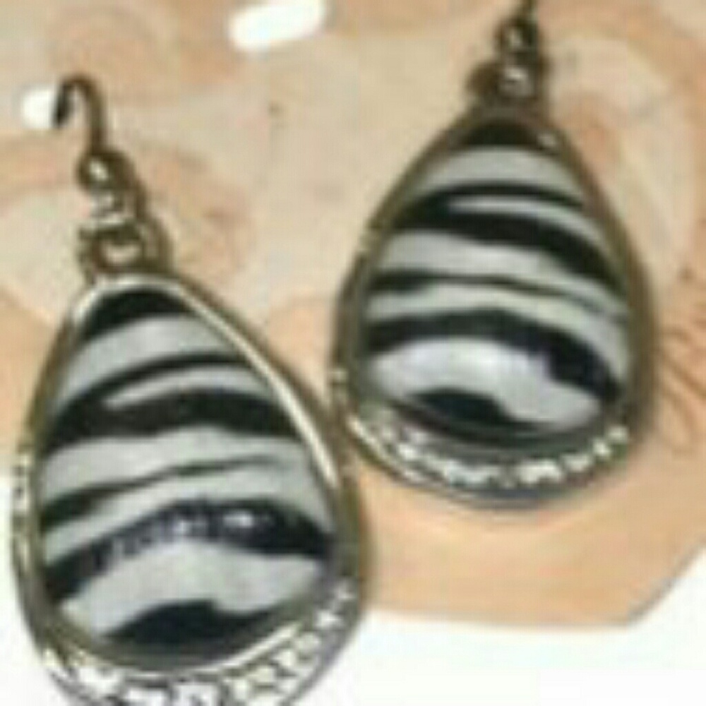 Brighton Trinity Zebra Earrings