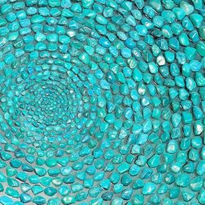 Meet your Posher, Irma