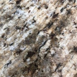 Meet your Posher, Leslie