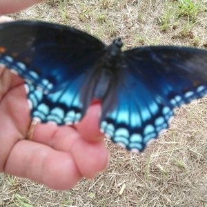 Meet your Posher, Sharon