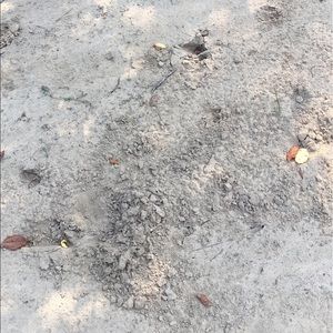 Meet your Posher, Dylan