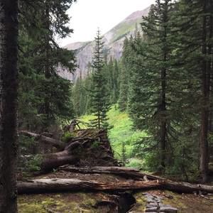 Meet your Posher, Caleb