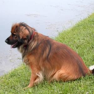 Meet your Posher, Tamara