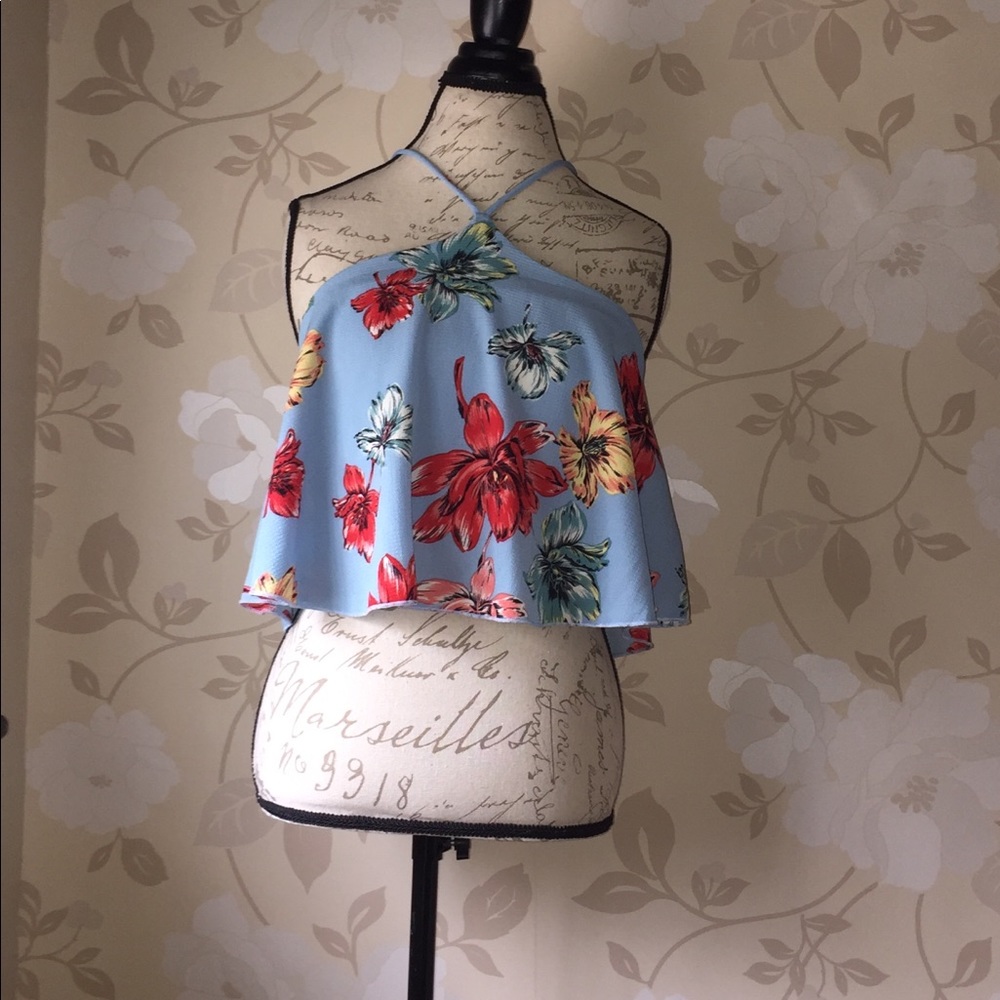 🌺SALE🌺Gorgeous rich crop top