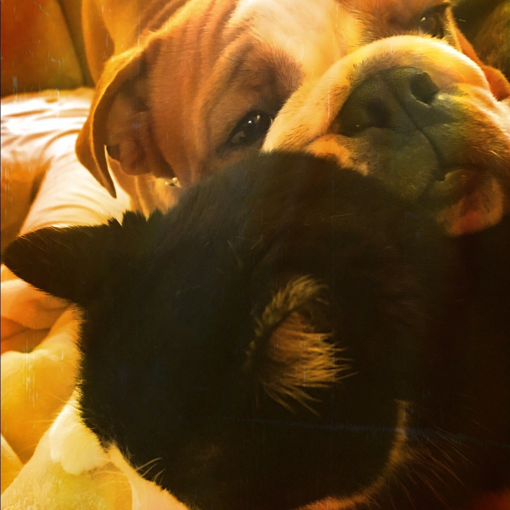 Meet your Posher, Cassie