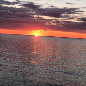 Meet your Posher, Tonya