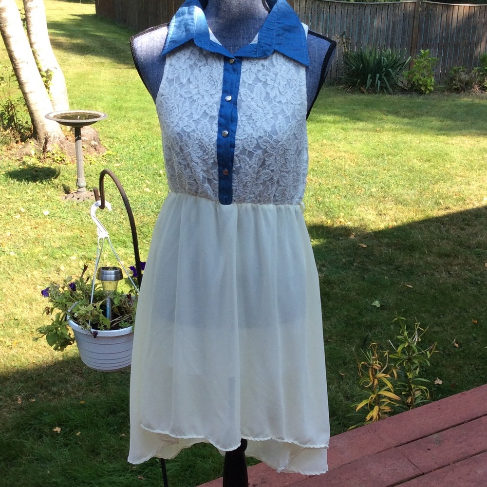 Larsen Gray sheer mini dress