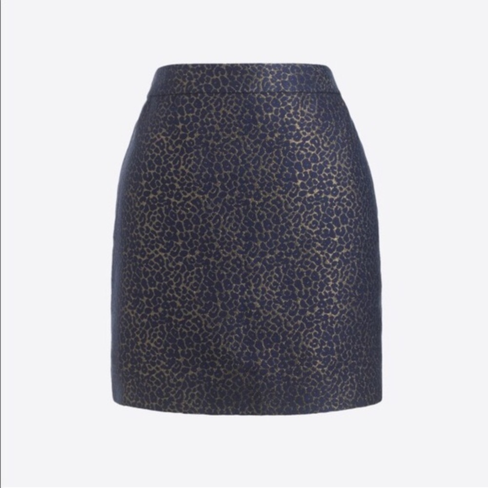 J. Crew Skirt
