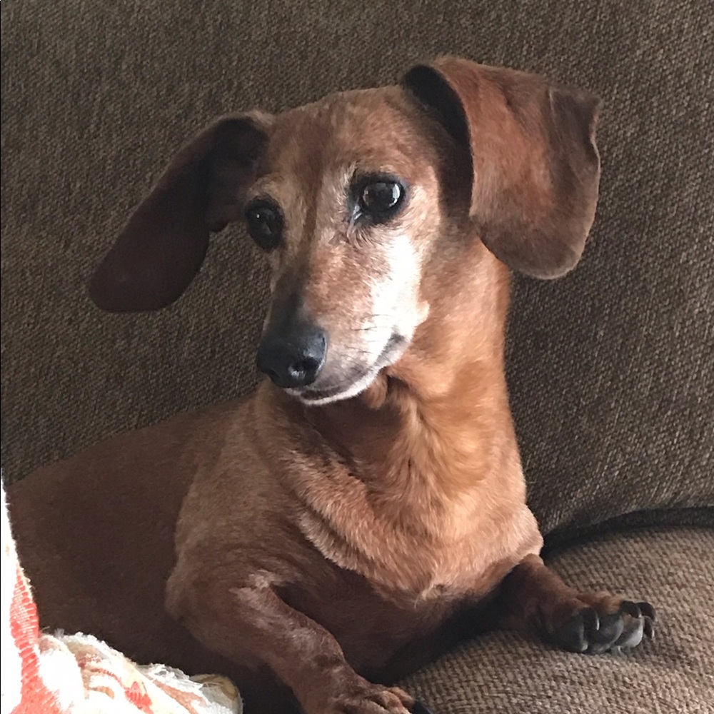 Meet your Posher, Kimberly