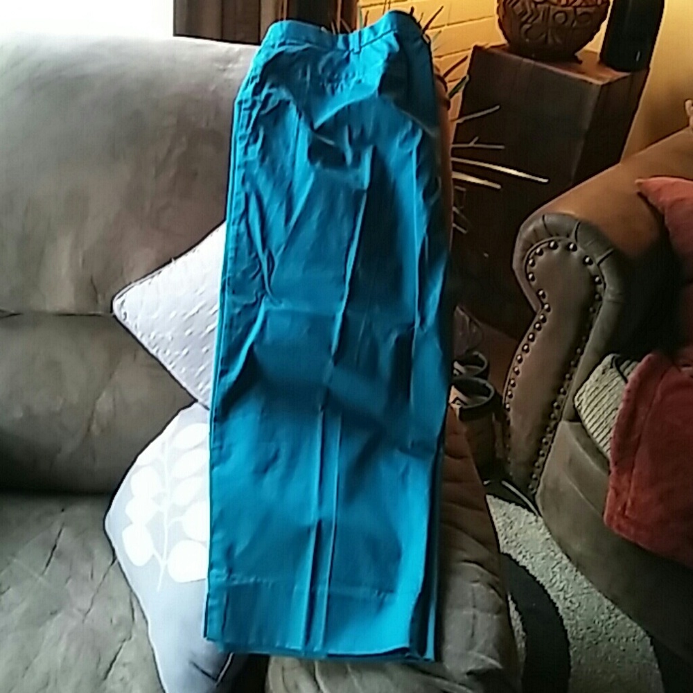 Avenue Turquoise Capris