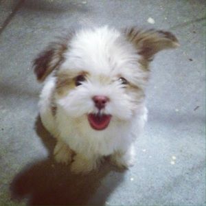 Meet your Posher, Katrina