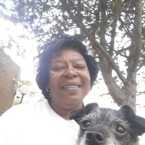 Meet your Posher, Dorothy