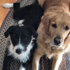 Meet your Posher, Zan