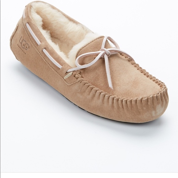 LOOKING FOR UGG MOCCASINS OR UGG TASMAN - Picture 4 of 8