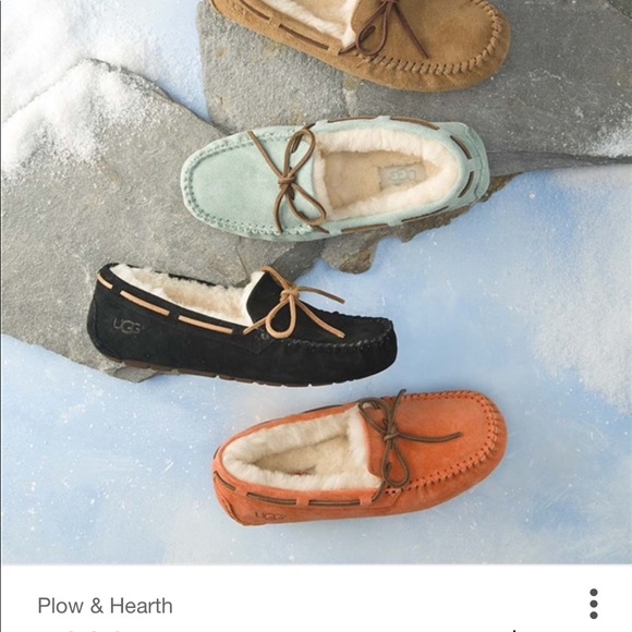 LOOKING FOR UGG MOCCASINS OR UGG TASMAN - Picture 5 of 8