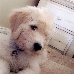 Meet your Posher, Hayden