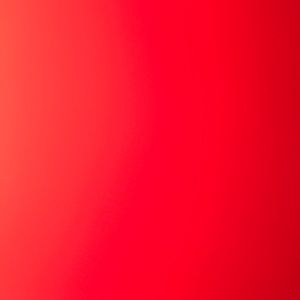 Meet your Posher, Lily