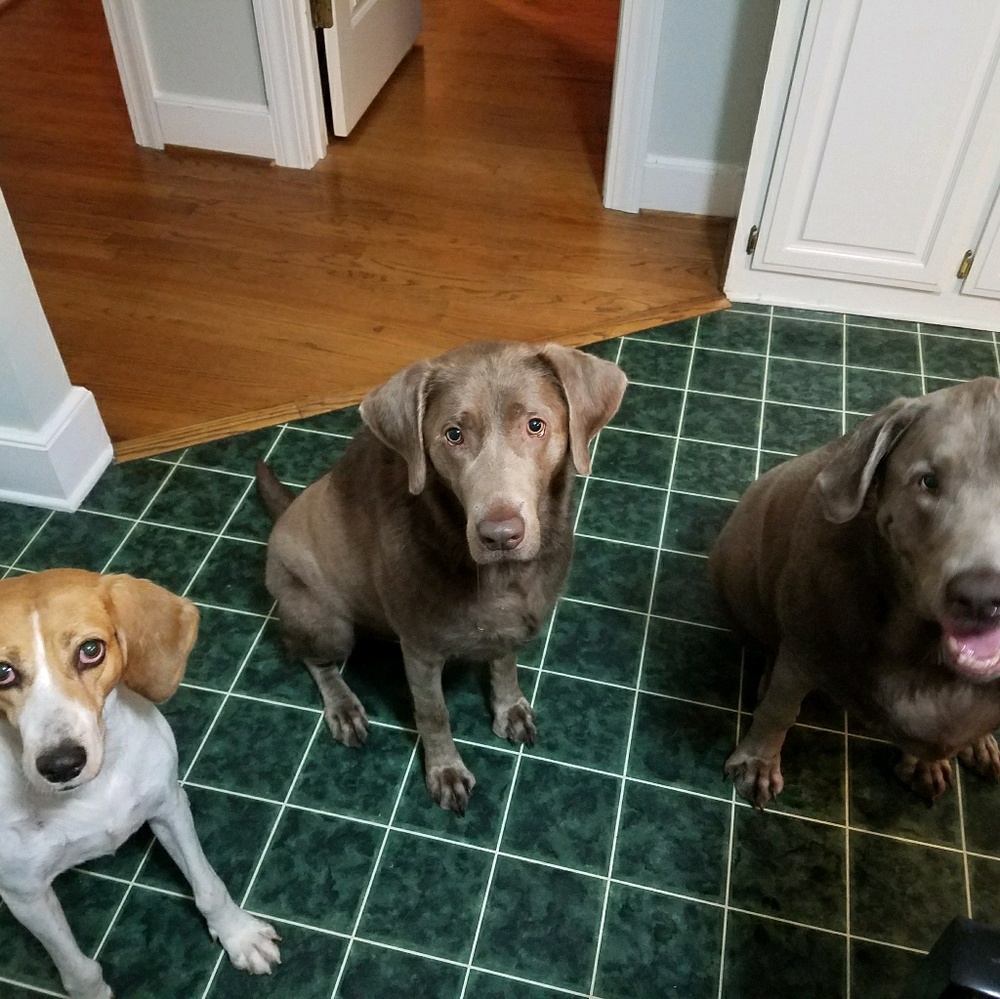 Meet your Posher, Ali