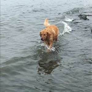 Meet your Posher, Mike