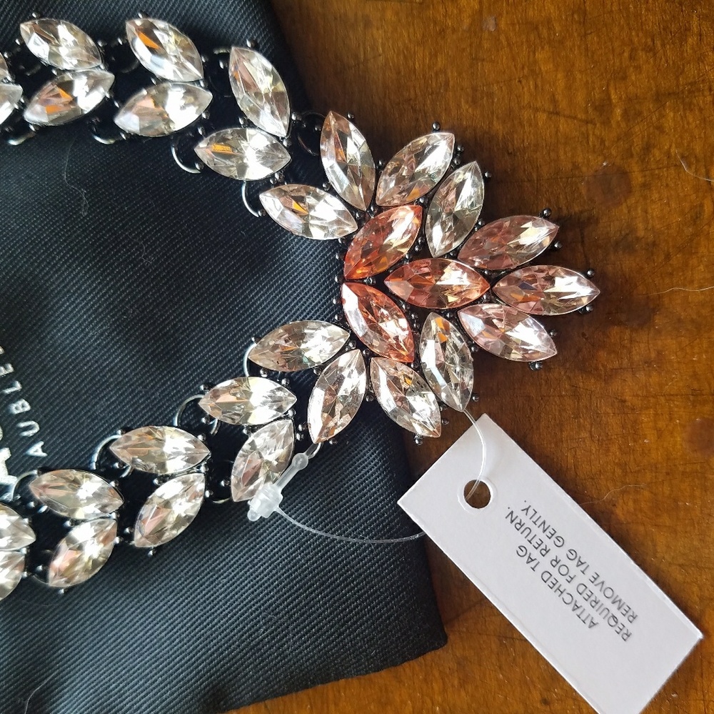 ⭐ price drop!⭐ Baublebar Statement Necklace