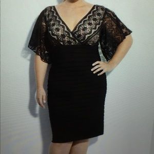 Adrianna Papell Black and Nude Lace Sleeve Dress