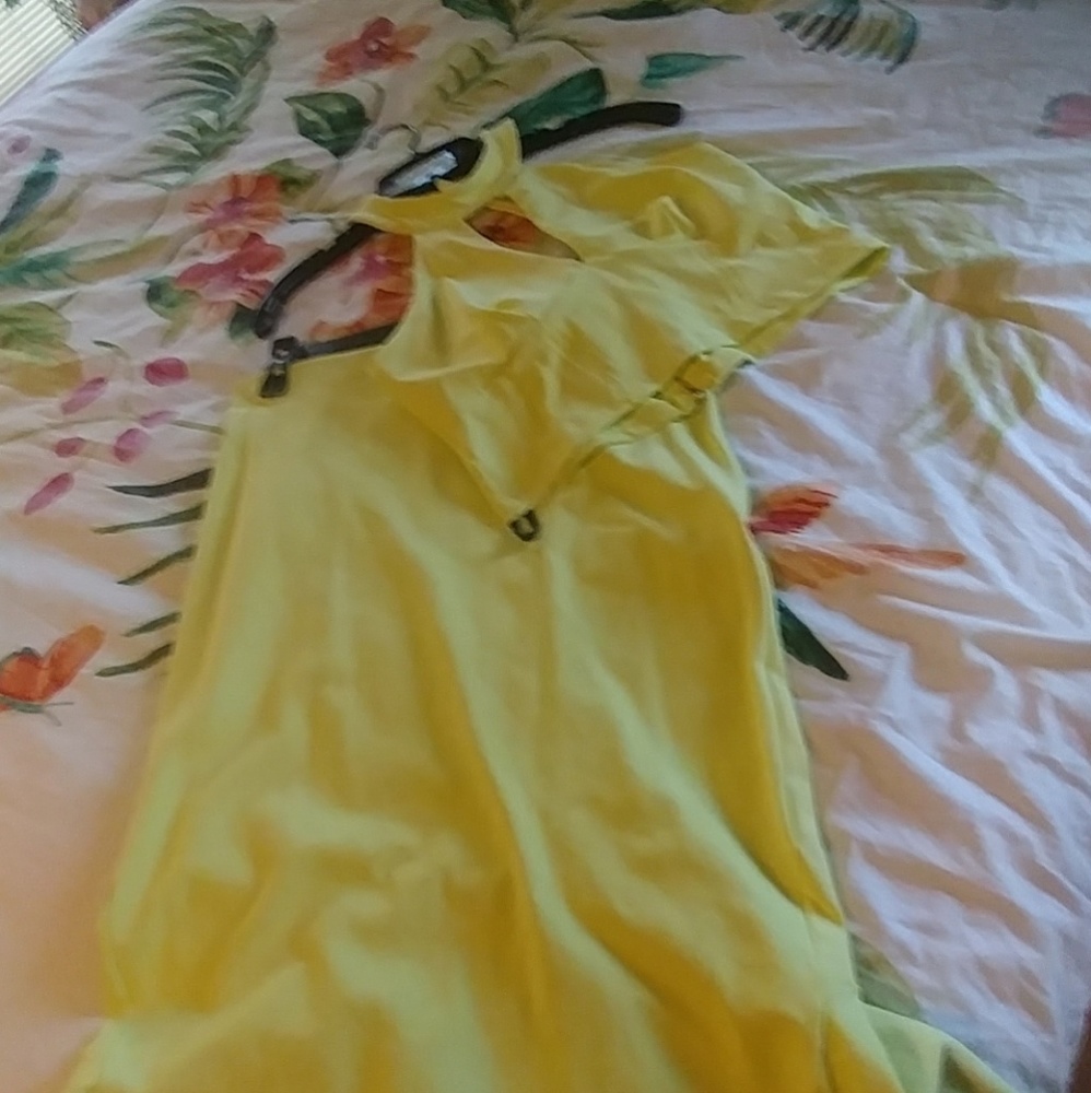 Bebe skirt set (photos don't do it justice)