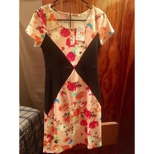 Honey and Lace NWT Sonoma